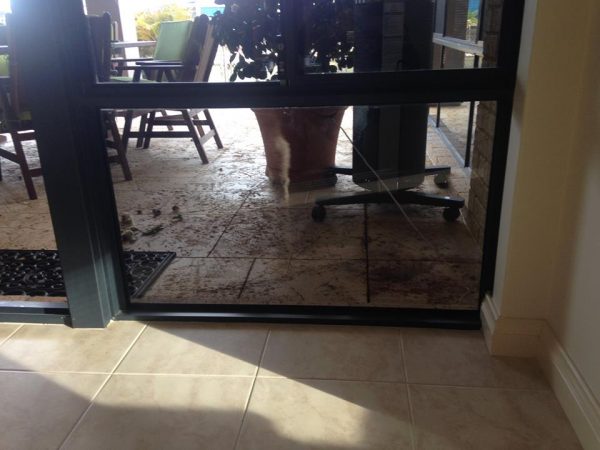 dog doors access in Perth