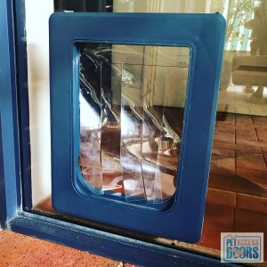 Custom made dog door with glass